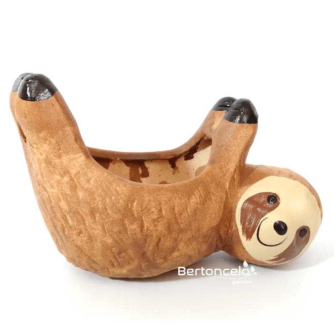 Bicho Preguiça2 - mini vaso para suculenta
