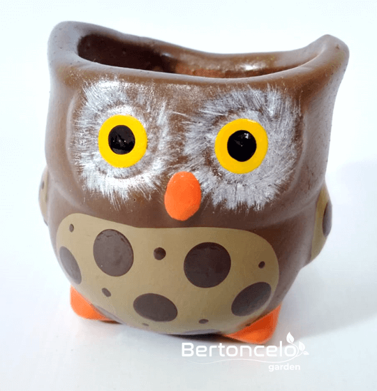 Coruja 2 - mini vaso para suculenta