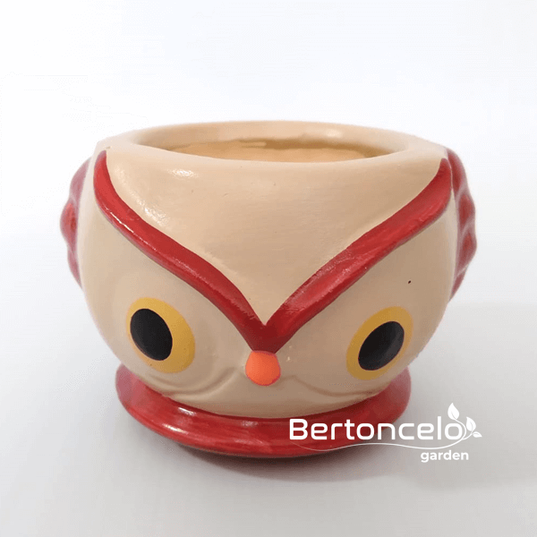 Coruja - mini vaso para suculenta