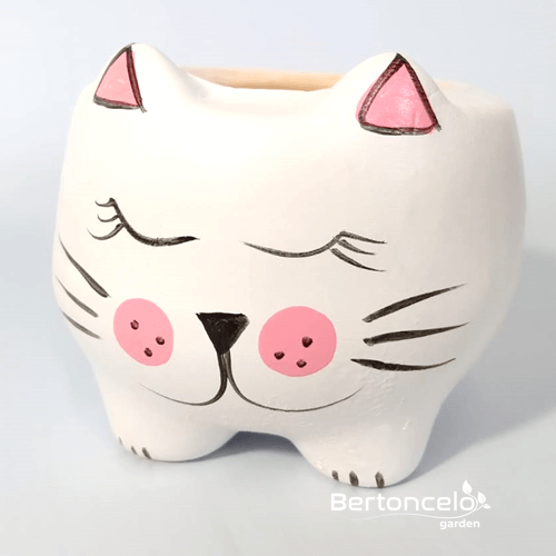 Gatinha - mini vaso para suculenta