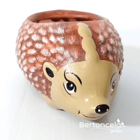 Porco Espinho - mini vaso para suculenta