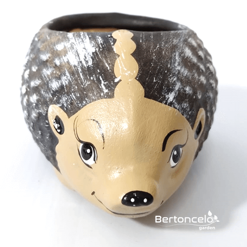 Porco Espinho2 - mini vaso para suculenta