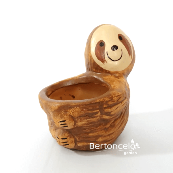 Bicho Preguiça - mini vaso para suculenta