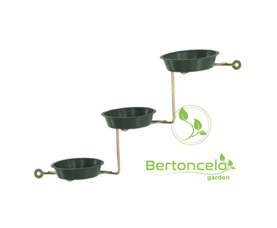 violeteiro-escada-capa