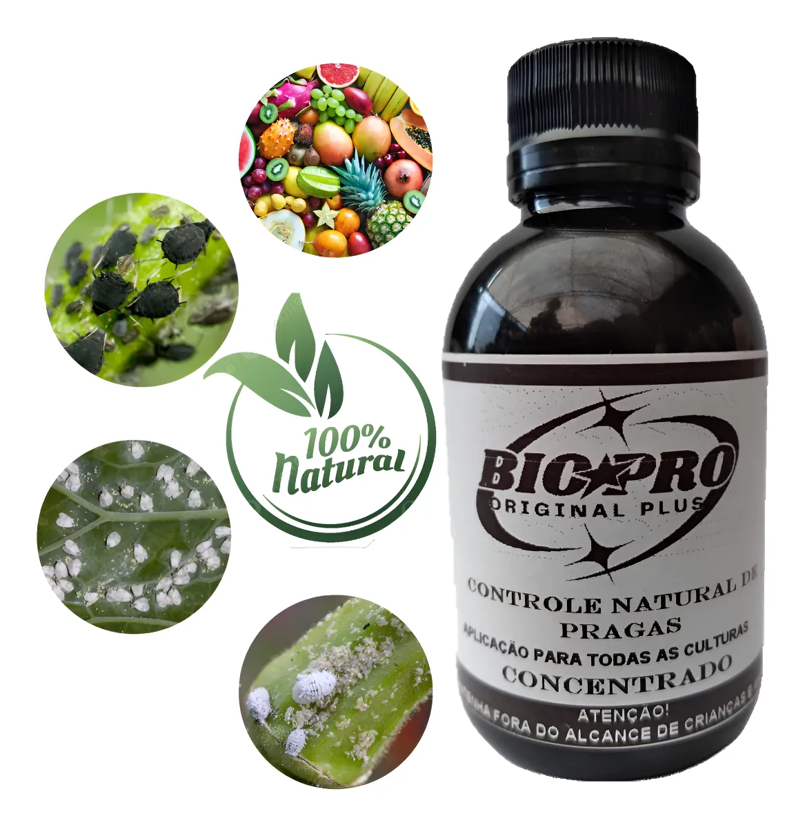 NEEM Contra Pulgão, Cochonilha, Lagarta, Natural Orgânico