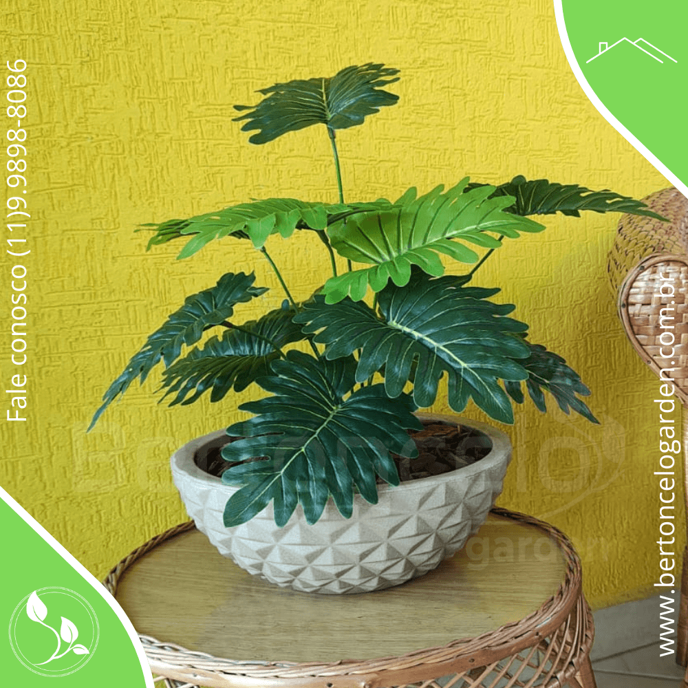 Guaimbê Artificial Berlian