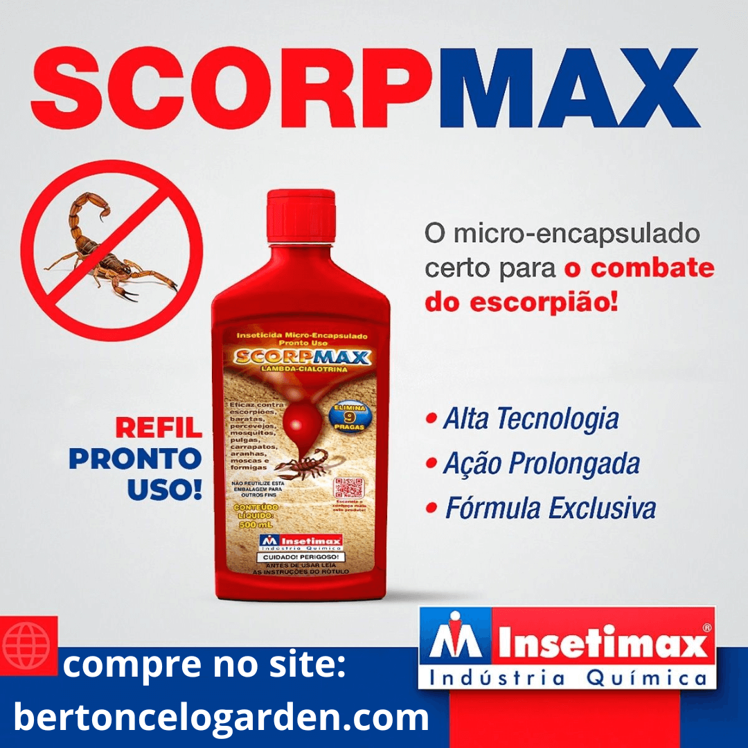 Mata Escorpião Pronto Uso Scorpmax Insetimax - 500ml
